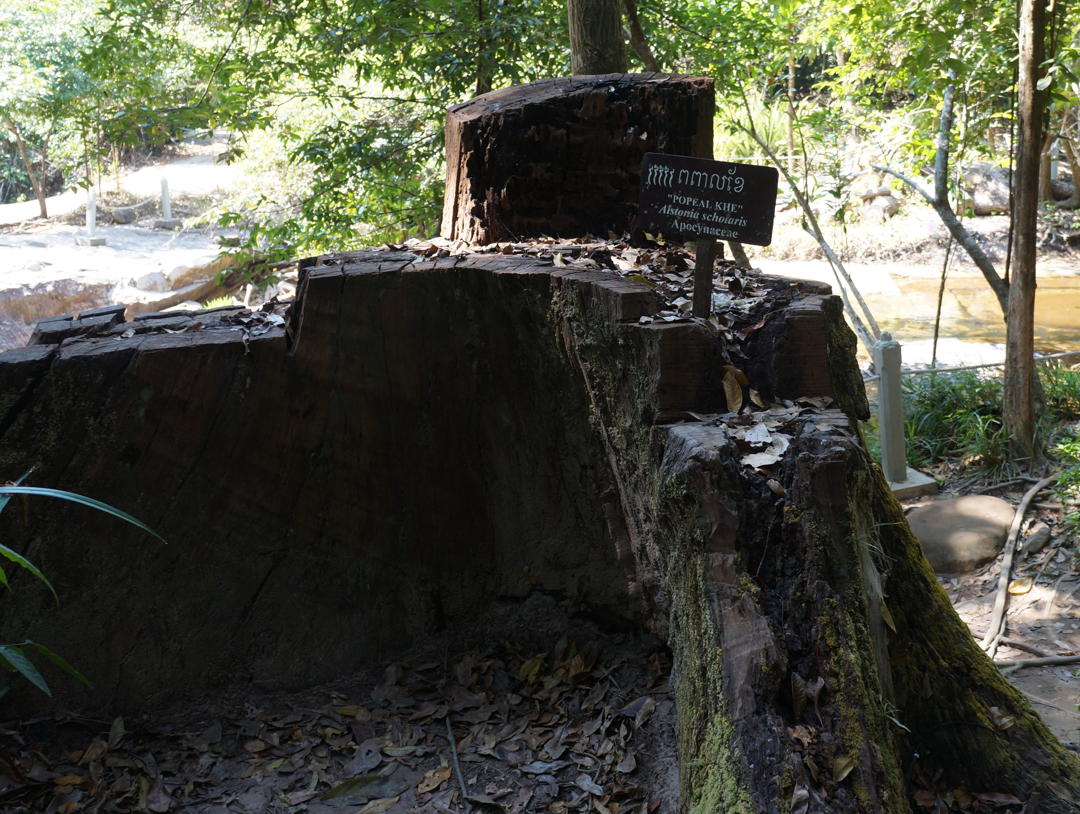 Kbal Spean riverbed carvings 1000 Lingas