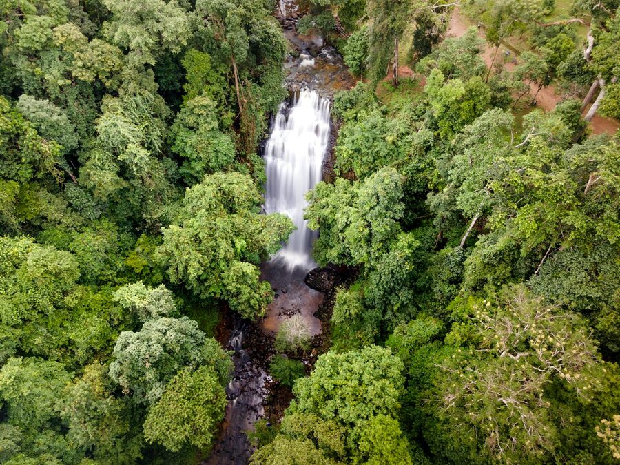 Jungle river Cambodia