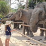 Kulen Elephant Forest & Tonlesap Lake - What Sets This Tour Apart?