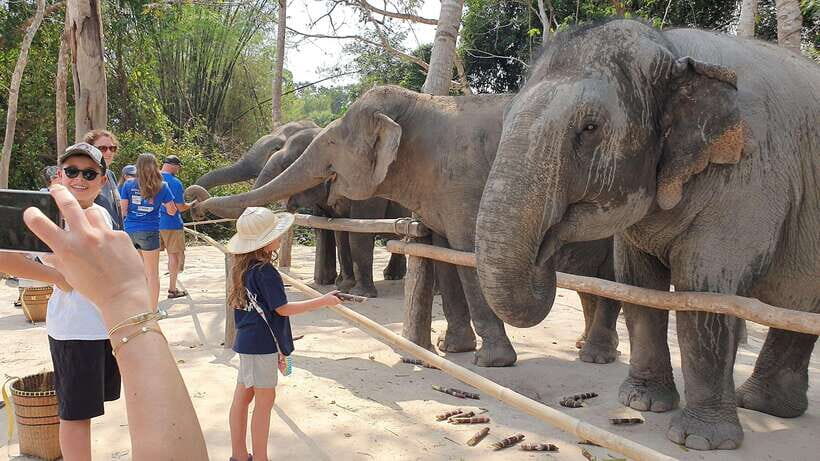 Kulen Elephant Forest & Tonlesap Lake - What Sets This Tour Apart?