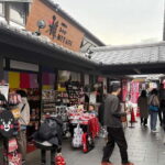 Kumamoto City: Private Castle Tour & Hidden Local Eats - The Logistics: What to Expect