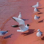 Kunming: Fuxian Lake Private Tour - Introduction: What to Expect from the Fuxian Lake Private Tour