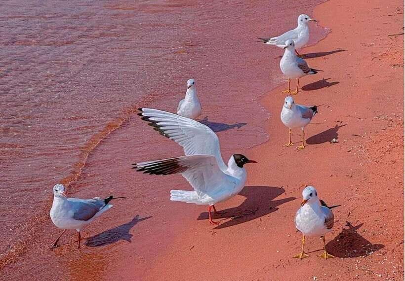 Kunming: Fuxian Lake Private Tour - Introduction: What to Expect from the Fuxian Lake Private Tour