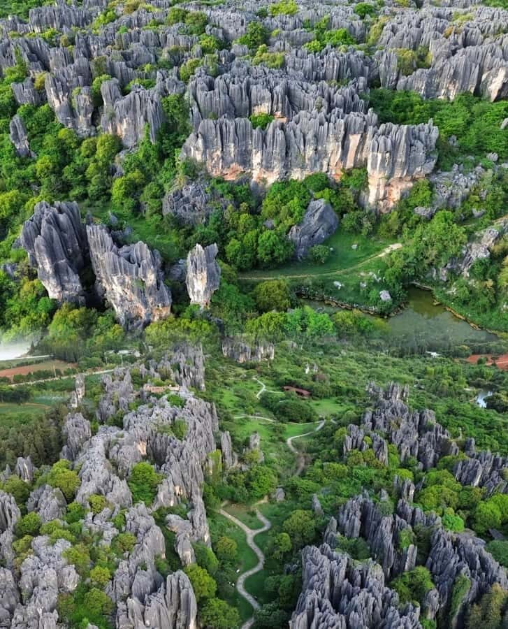 Kunming: Stone Forest, Ethnic Park & Tie-Dye Workshop - A Deep Dive Into the Day in Kunming