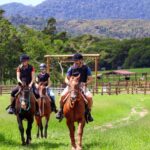 Kuranda Half Day with Petting Zoo & Horse Trail Ride Tour - What to Expect from the Tour