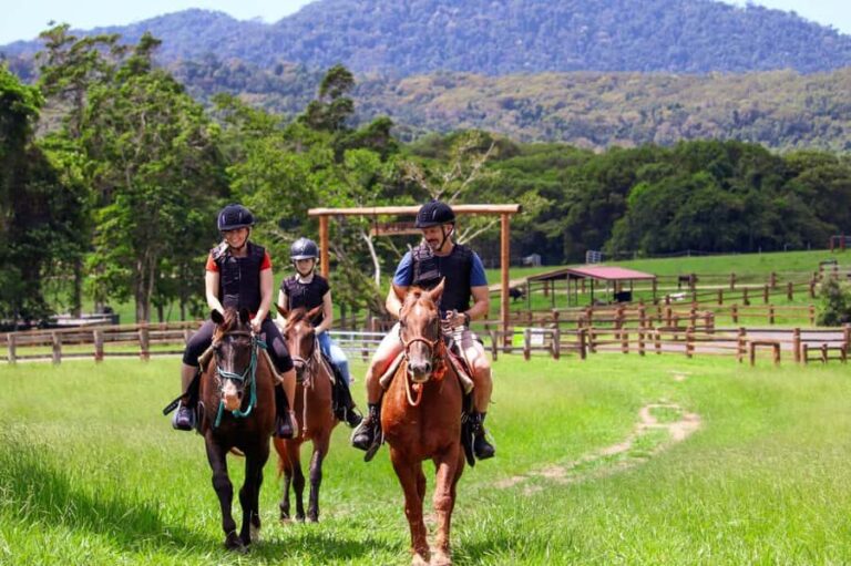 Kuranda Half Day with Petting Zoo & Horse Trail Ride Tour - What to Expect from the Tour