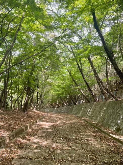 Kyoto: Arashiyama Bamboo Forest Hiking Tour - Pricing and Value