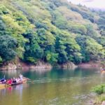 Kyoto: Arashiyama Monkey Park, Bamboo Forest, and Temples - Is It Worth the Price?