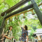 Kyoto: Arashiyama Walking Tour  UNESCO World Heritage - What’s Included and What’s Not