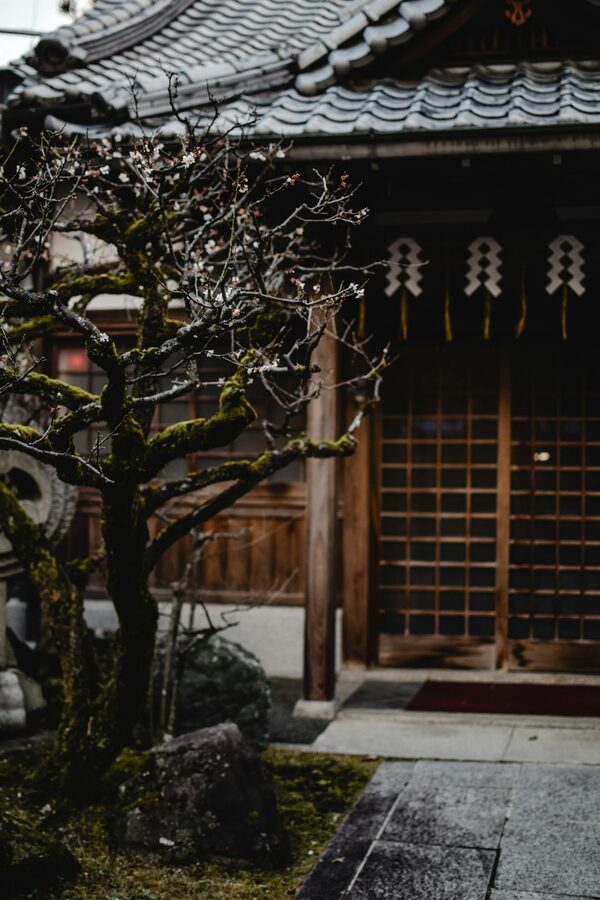 Bamboo-lined path leading to zen temple Kyoto