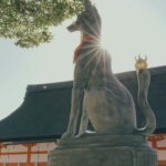 Kyoto City Private Full Day Tour - The Highlights and Hidden Gems