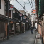 Kyoto Customizable Private Tour with a Local Guide - Who Is This Tour Best For?