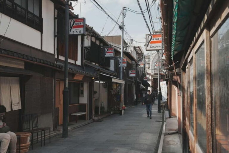 Kyoto Customizable Private Tour with a Local Guide - Who Is This Tour Best For?