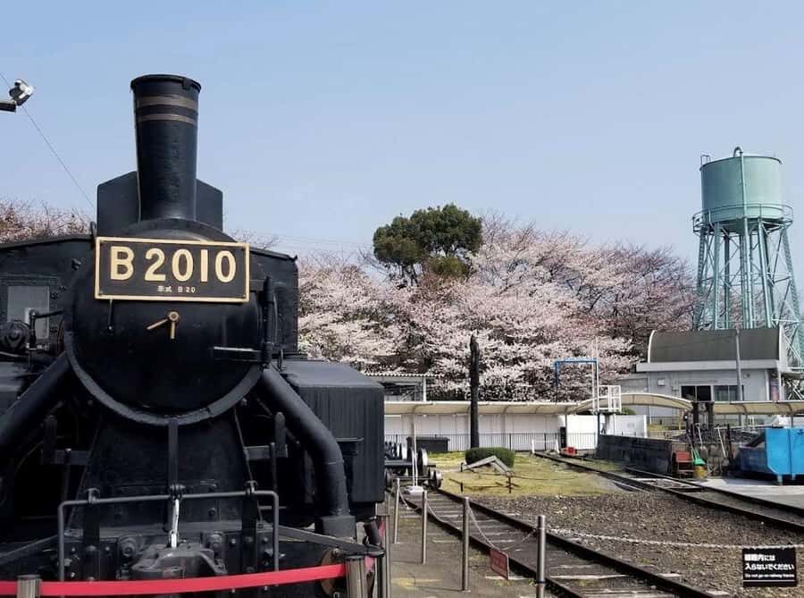 Kyoto: Enjoy "Hanami" Cherry Blossom Experience with Snacks - The Itinerary Breakdown  