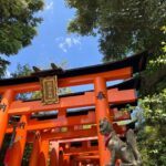 Kyoto: Essential Tour with Fushimi Inari & Bamboo Grove - Who Will Love This Tour?