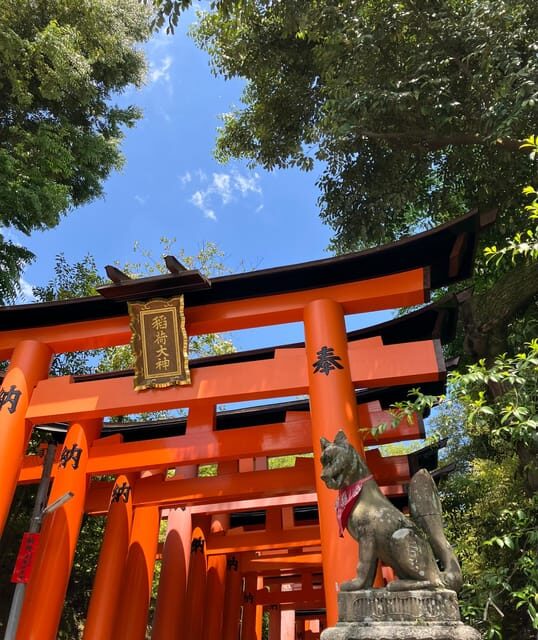 Kyoto: Essential Tour with Fushimi Inari & Bamboo Grove - Who Will Love This Tour?