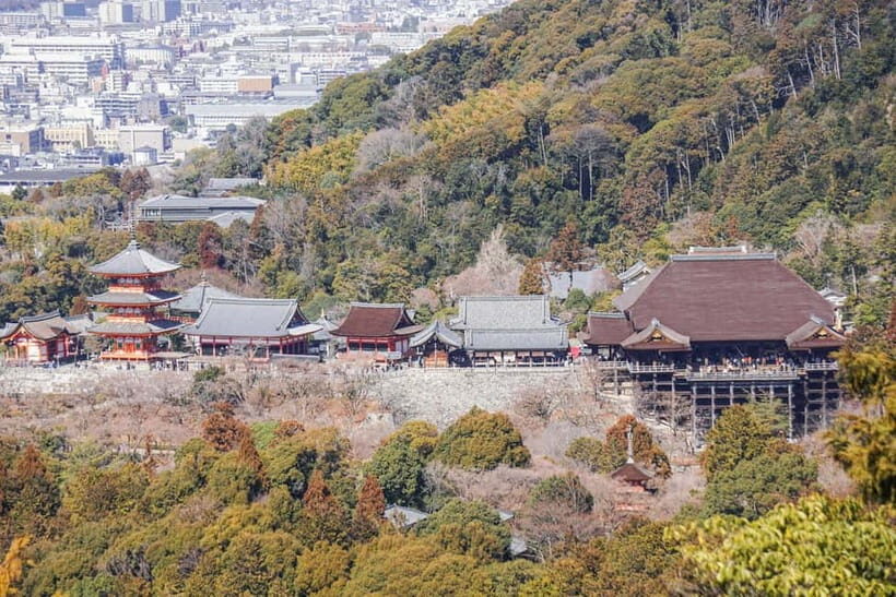 Kyoto from Above: Hike Mt. Amida with Kiyomizu Views - Who Will Love This Tour?