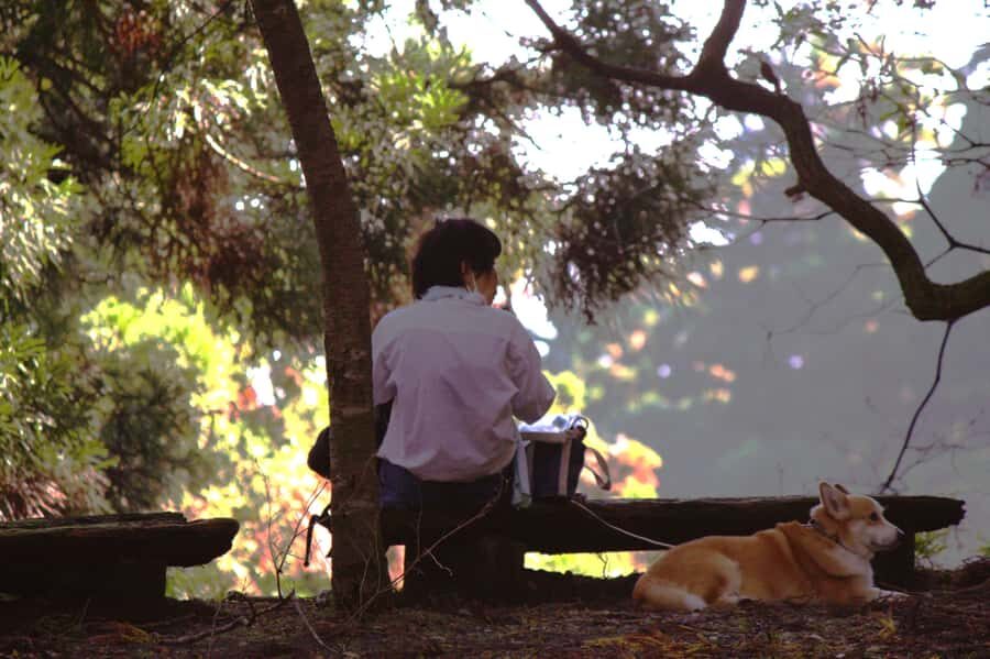 Kyoto: Guided Hike to Mt. Atago, Kyotos Highest Peak - The Itinerary Breakdown