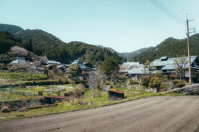Kyoto: Hidden Gems and Local Neighborhoods - The Authentic Side of Kyoto Revealed