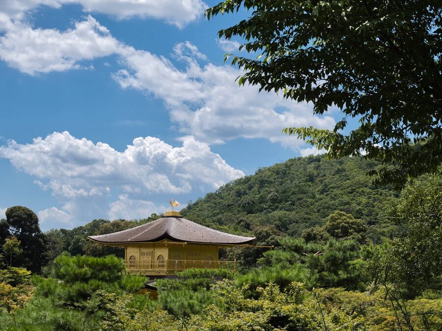 Golden Pavilion Kinkakuji surrounded by lush green trees