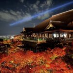 Kyoto & Nara: Full-Day Private Guided Tour with Hotel Pickup - Who Would Love This Tour?