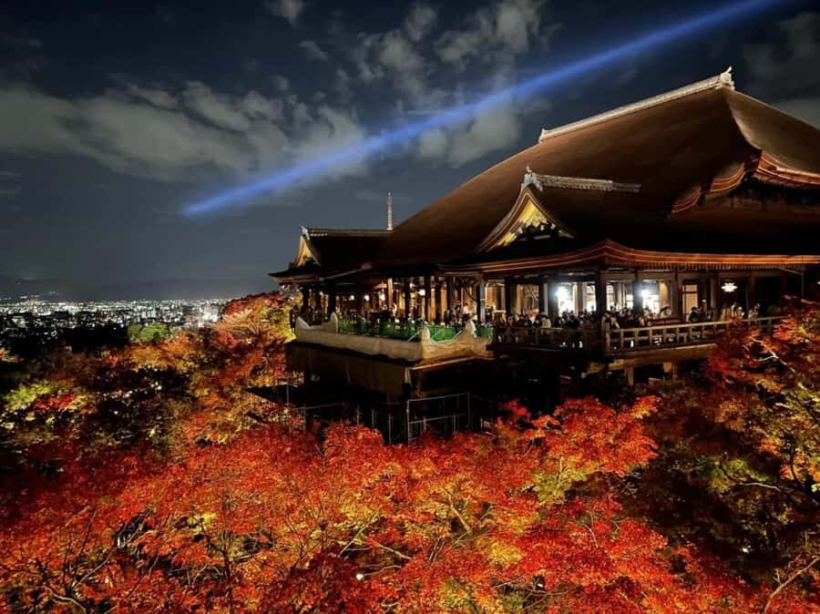 Kyoto & Nara: Full-Day Private Guided Tour with Hotel Pickup - Who Would Love This Tour?