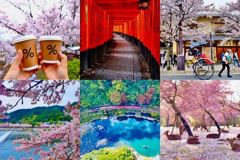 Kyoto/Nara: Must-see Spots in One Day Tour with Hotel Pickup - Why This Tour Offers Great Value