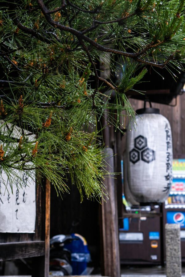 Yasaka Pagoda at night in Gion Kyoto