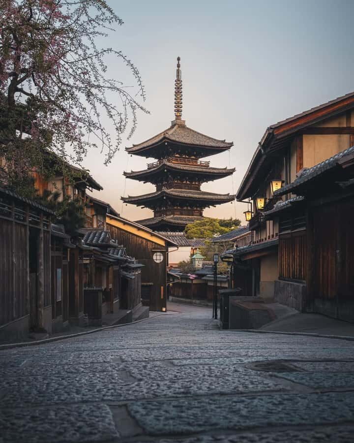 Kyoto: Private Customizable Day Tour with Guide and Vehicle - Who Is This Tour Best For?