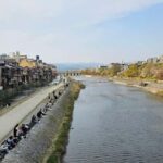 Kyoto: Private Guided Tour with a Brazilian Local Expert - Transportation and Practicalities