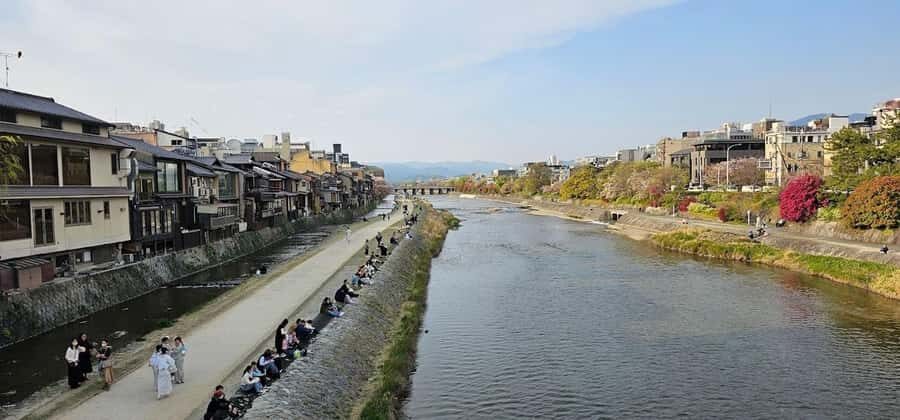 Kyoto: Private Guided Tour with a Brazilian Local Expert - Transportation and Practicalities