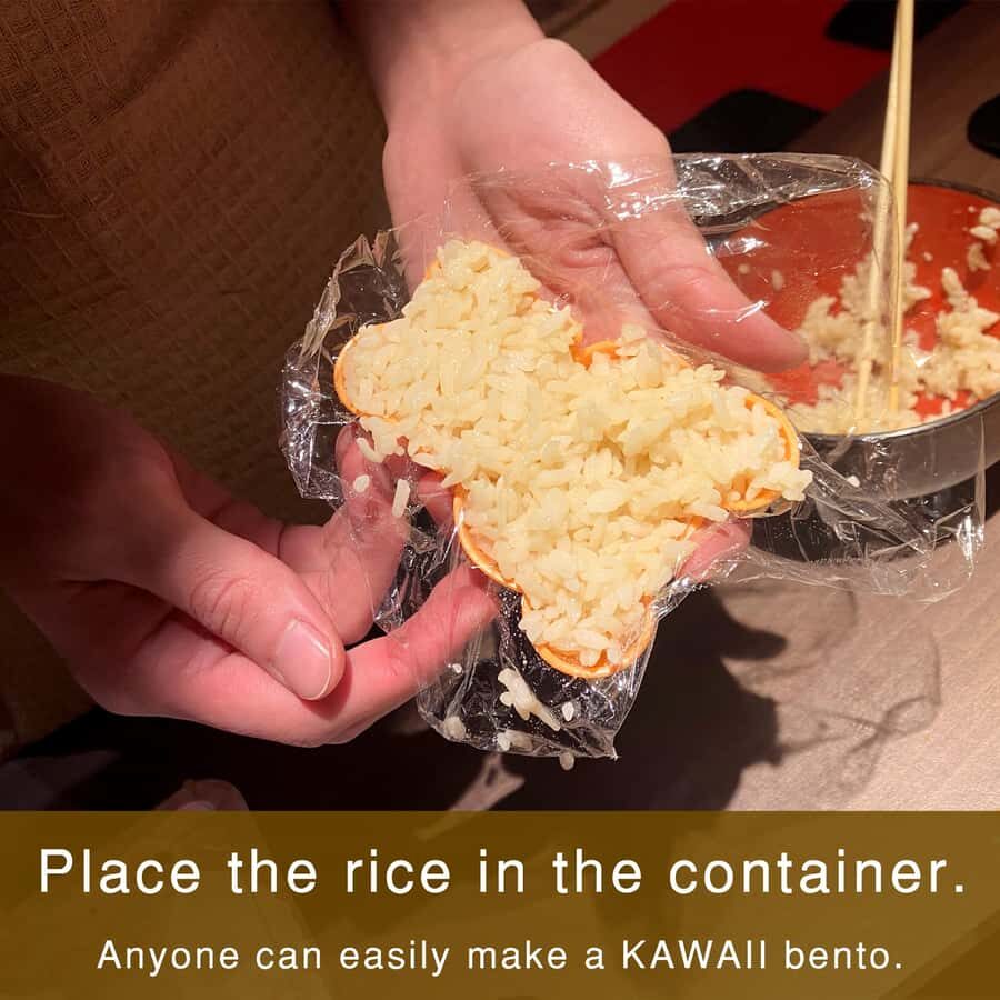 Kyoto: Private Morning Kawaii Bento & Picnic in Gion - Practical Details & Value