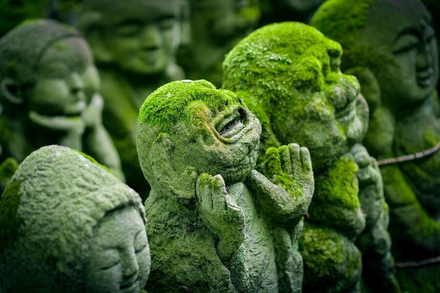 Mossy Jizo statues at Otagi Nenbutsu-ji Kyoto