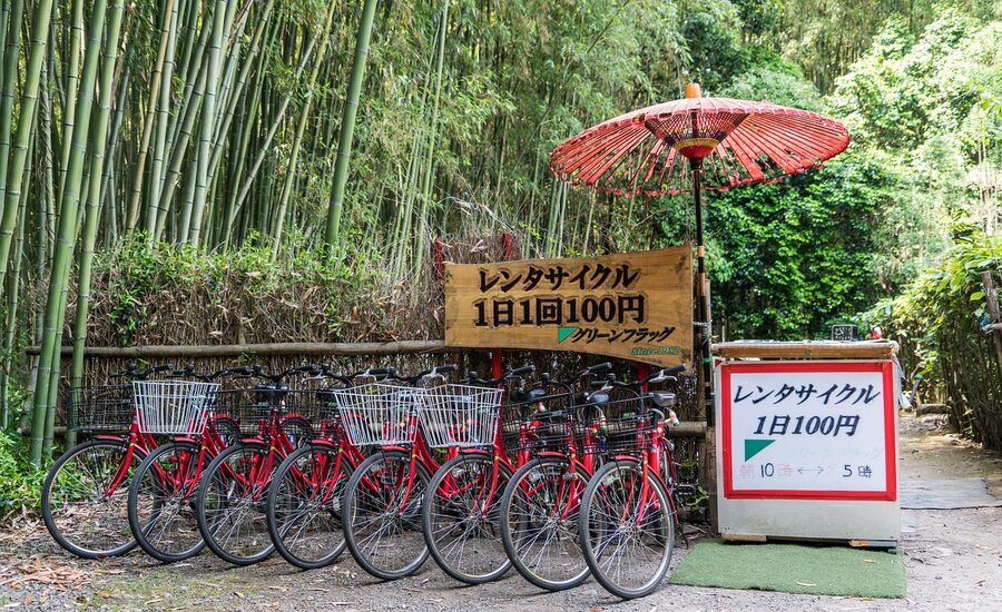 Arashiyama bamboo grove alley