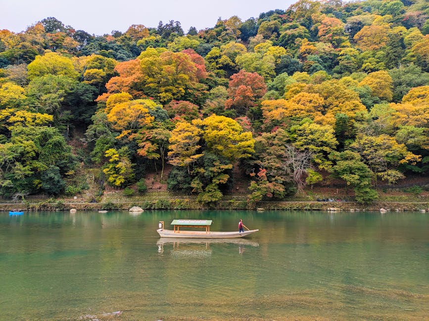 Traditional riverboat on the Katsura river Arashiyama in autumn