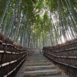 Kyoto: Stroll around the Depths of Arashiyama - In-Depth Look at the Stops