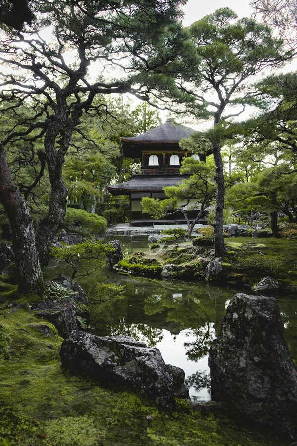 Kyoto temple surrounded by autumn leaves
