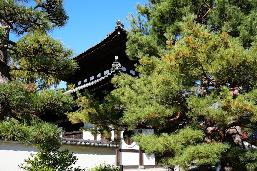 Kyoto temple gate with stone path