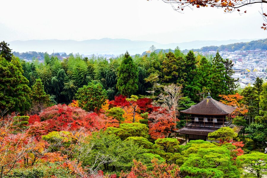 Kyoto temple veranda with garden view