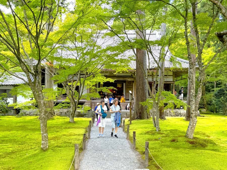 Kyoto: The Hidden Sanctuary of Sanzen-in Temple - The Experience and Its Highlights