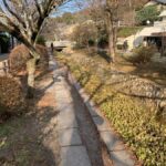 Kyoto Zen Highlights: Nanzenji, Kenninji, Tofukuji & Ginkaku - Final Thoughts: Is this Tour Worth It?