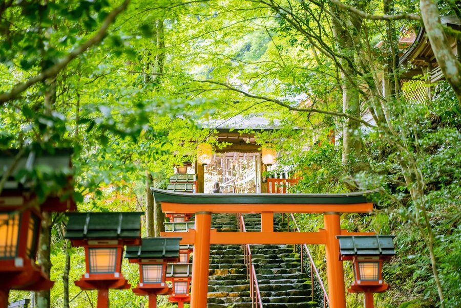 Traditional torii gate entrance to a shrine surrounded by greenery in Kyoto