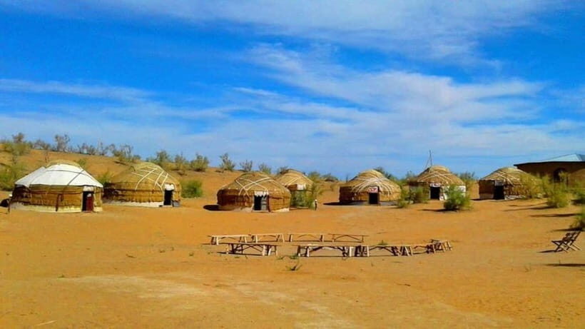 Kyzylkum Desert tour from Bukhara (1 Night 2 Days) - Day 2: From the Desert to Samarkand