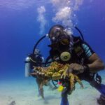 La Romana: Scuba Diving in Catalina Island - First Stop: ‘The Wall’