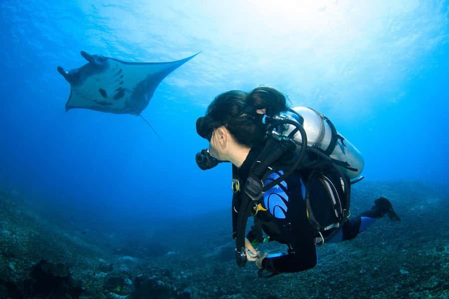 Labuan Bajo  First Dive in Komodo Sea - Practical Details and What to Expect