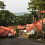 Laithmukhrah Walk in Shillong (2 Hours Guided Walking Tour) - Final Thoughts: Is This Tour Worth It?