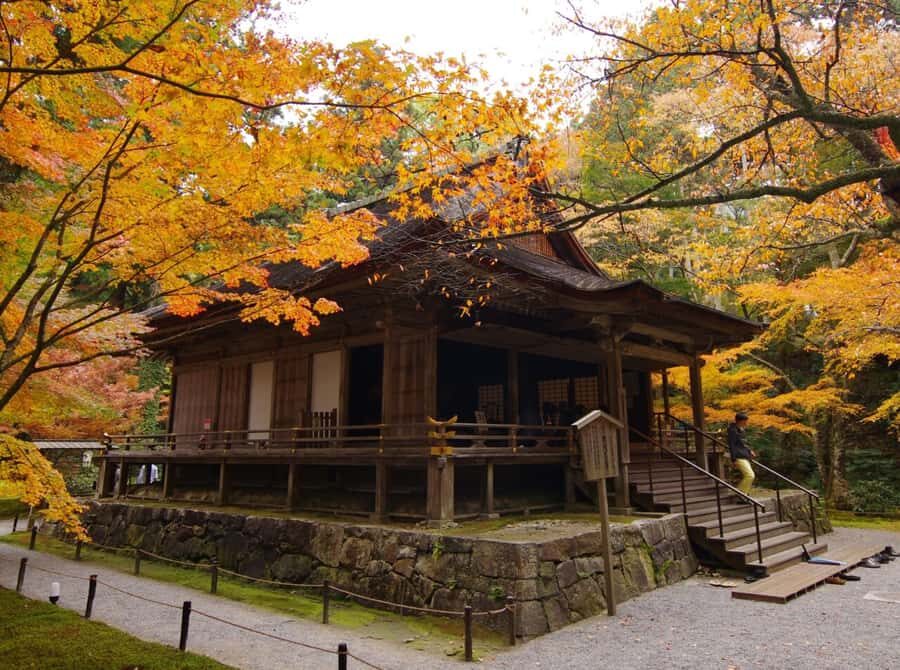Lake Biwa & Omi Hachiman Day Tour from Osaka or Kyoto - What Makes This Tour Stand Out?