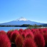 Lake Kawaguchi: 1-Day Bicycle Rental - Exploring the Scenic Spots Around Lake Kawaguchi