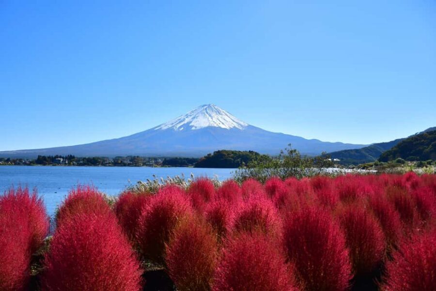 Lake Kawaguchi: 1-Day Bicycle Rental - Exploring the Scenic Spots Around Lake Kawaguchi