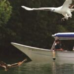 Langkawi Tour B - Land Tour & Tanjung Rhu Mangrove Tour - What’s Included and What’s Not